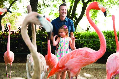 Itinerary: 36 Hours of Family Fun in Kissimmee, Florida