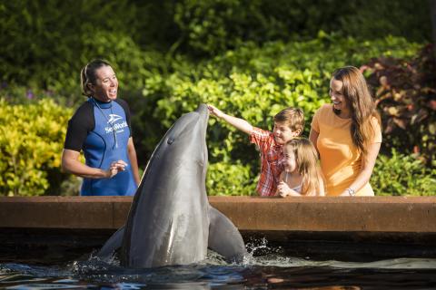 A SeaWorld trainer stands beside a pool as a dolphin rises from the water to interact with a smiling family, with a child gently touching the dolphin while greenery surrounds the exhibit.