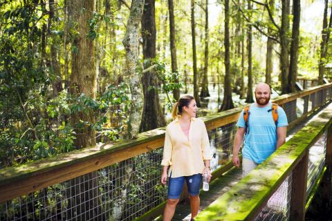 A woman and man walk along a wooden boardwalk through a lush, sunlit wetland forest, smiling as they enjoy the natural scenery around them.