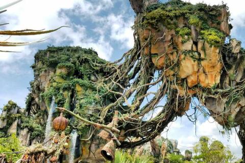 An overpass of tangled rock, moss, and vines with a waterfall on the side.
