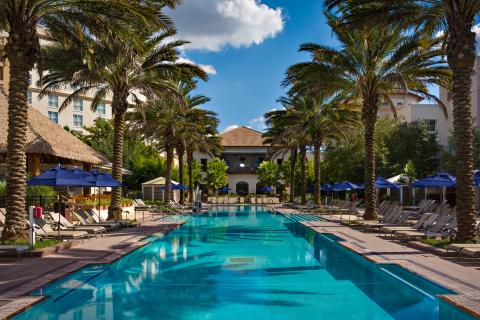 Exterior shot of a pool lined with palm trees at a resort.