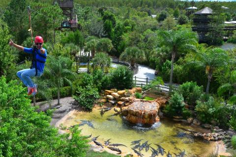 A man ziplines over a gator tank at Gatorland.