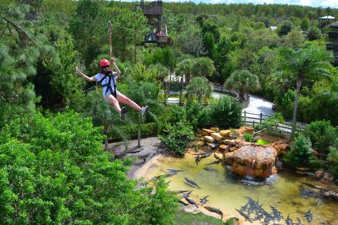 A woman zip lines over a lagoon filled with alligators at Gatorland near Kissimmee, Florida, surrounded by lush tropical trees and scenic wetland views.