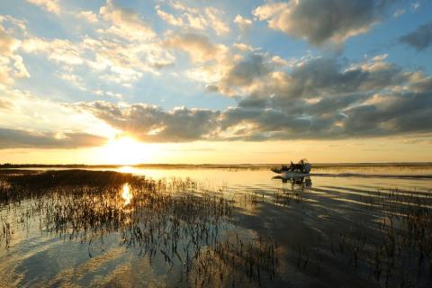 Airboating with Boggy Creek Airboat Adventures in Kissimmee