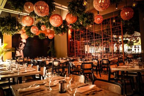 Elegant interior of Estefan Kitchen Orlando in Kissimmee, Florida, featuring lush hanging greenery, warm golden lighting, and modern dining tables set for guests.