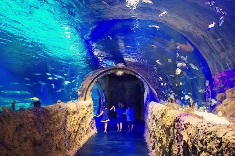 Three children exit an aquarium.