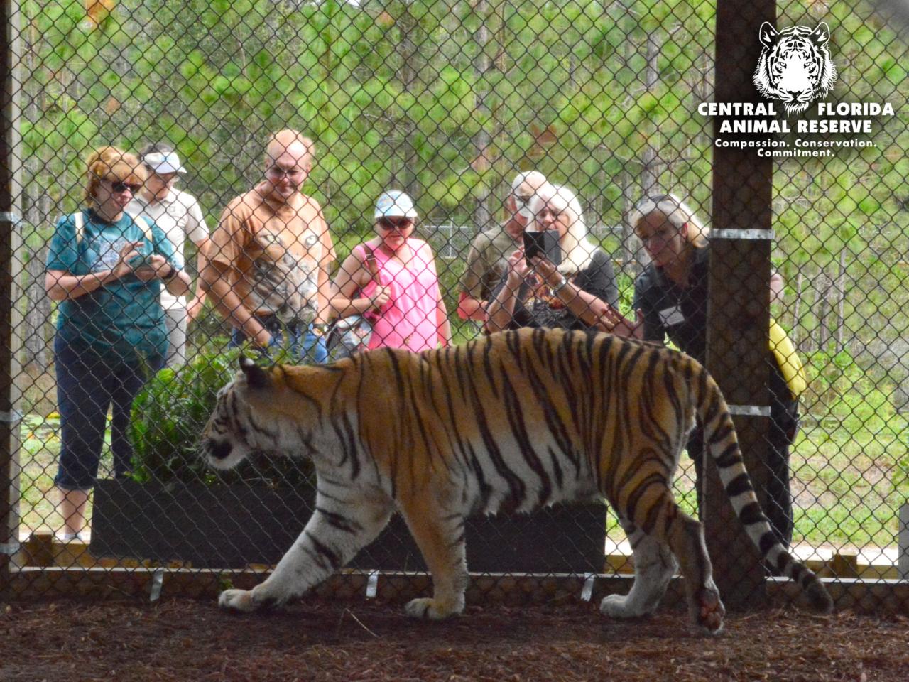 Central Florida Animal Reserve | Experience Kissimmee