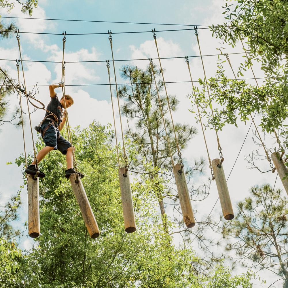 A young adventurer navigates a suspended rope obstacle course at Tree Trek Adventure Park, balancing across hanging wooden logs surrounded by tall trees.