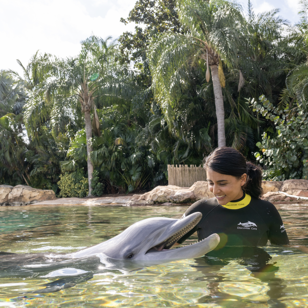 Woman in water with a dolphin at Discovery Cove.