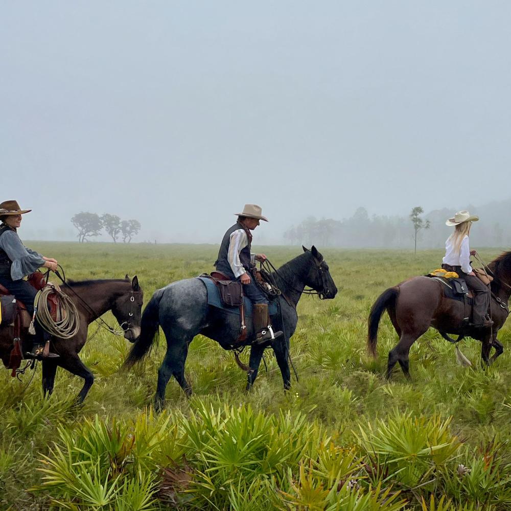 The 500th Cattle Run through Osceola County.