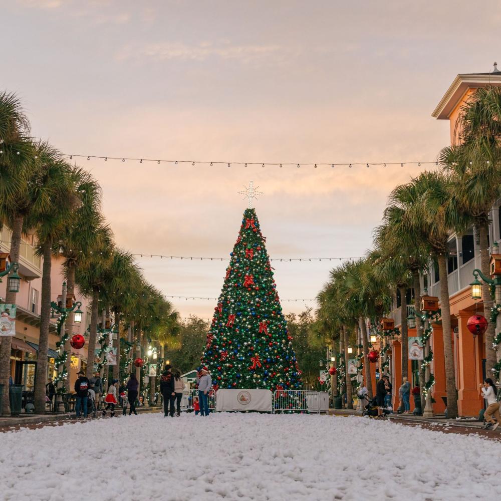 Snowfall in Celebration