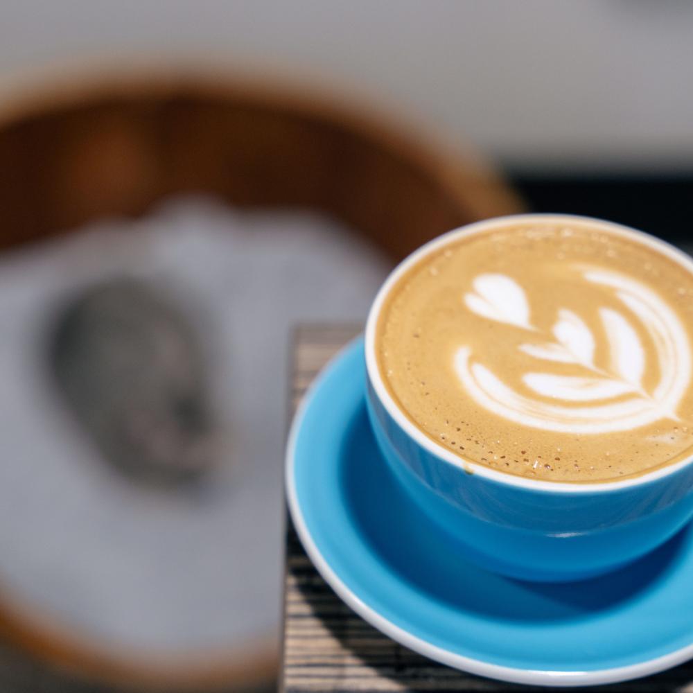 Minch Coffee Co./Orlando Cat Cafe