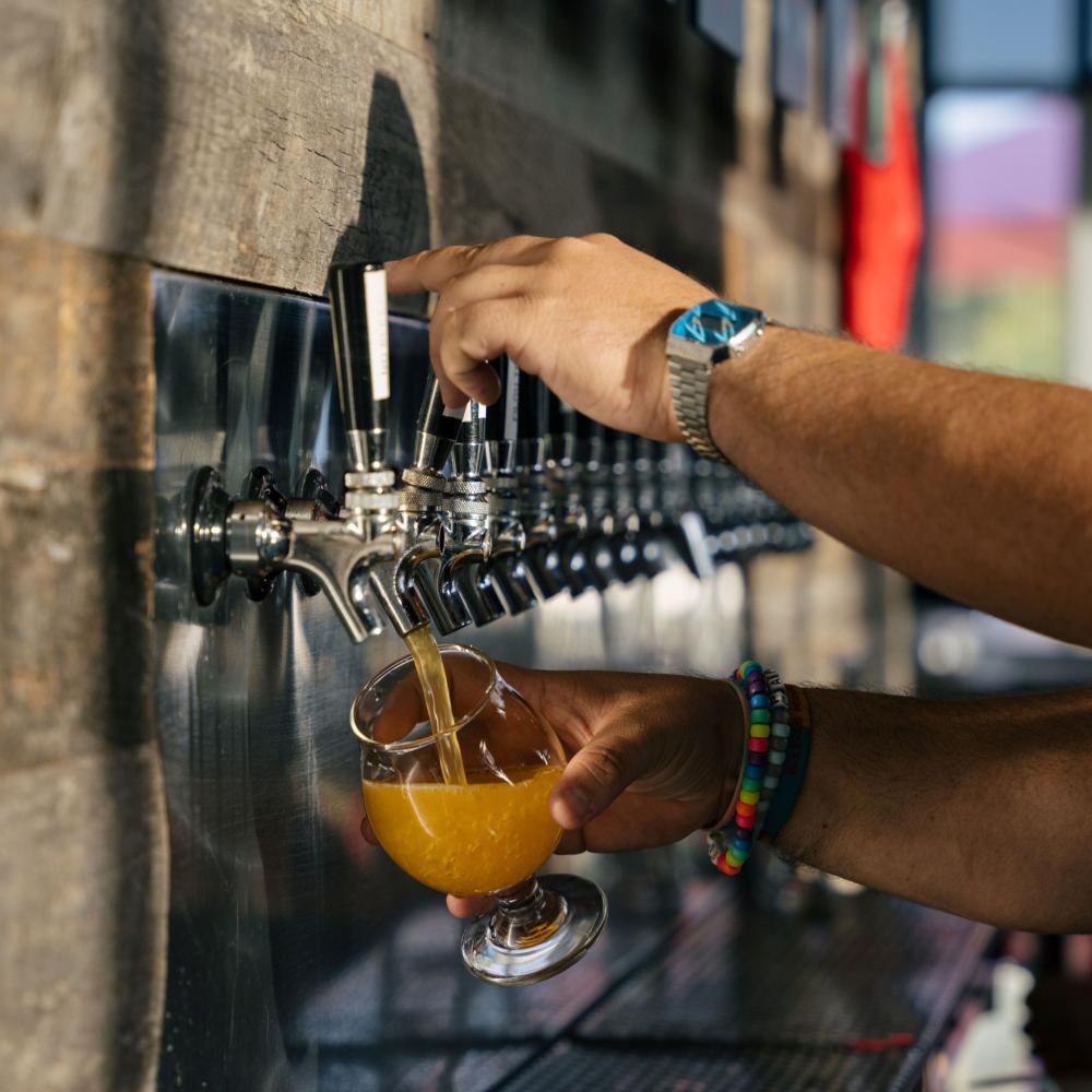 A bartender pours a beer at Celebration Brewing Co.