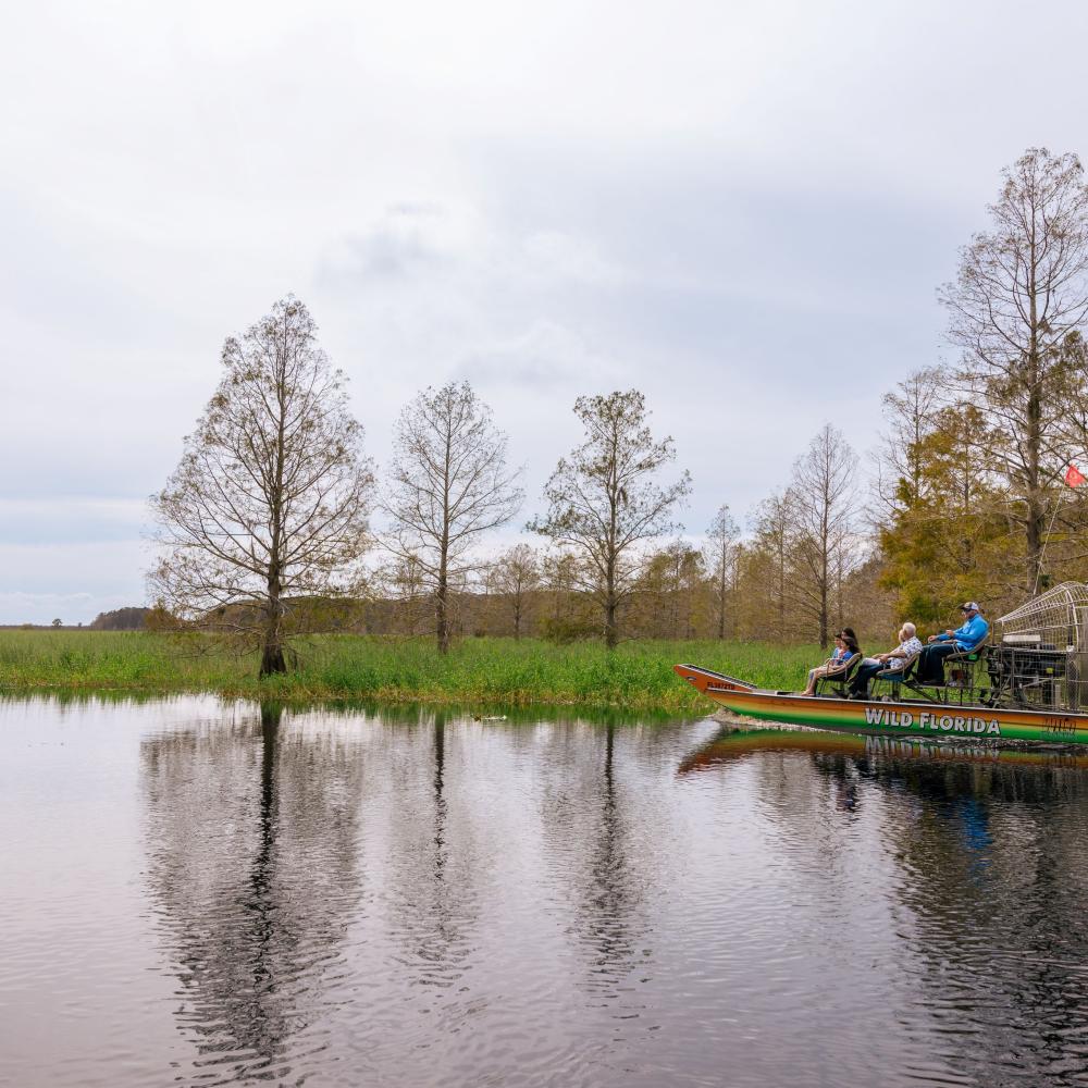 Airboat gliding through cypress trees and wetlands at Wild Florida in Kissimmee, Florida.