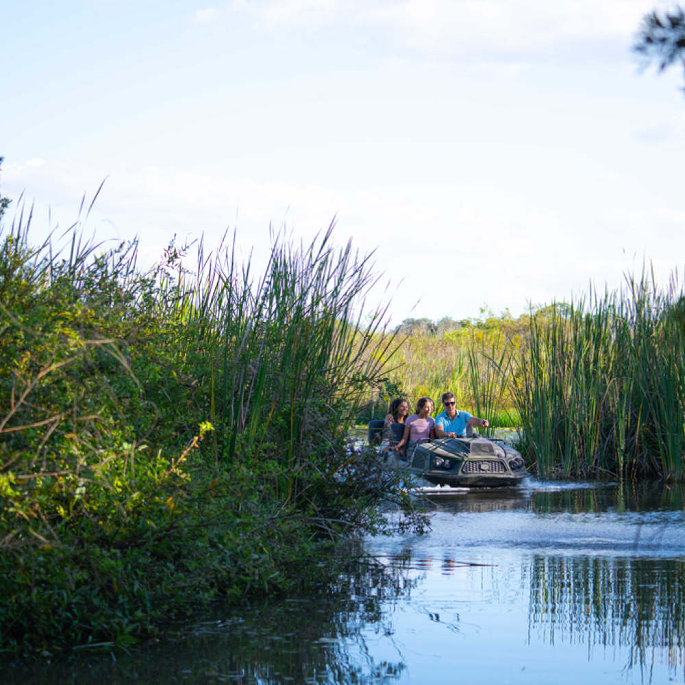 Revolution Adventures