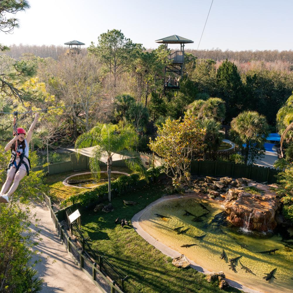 Gatorland