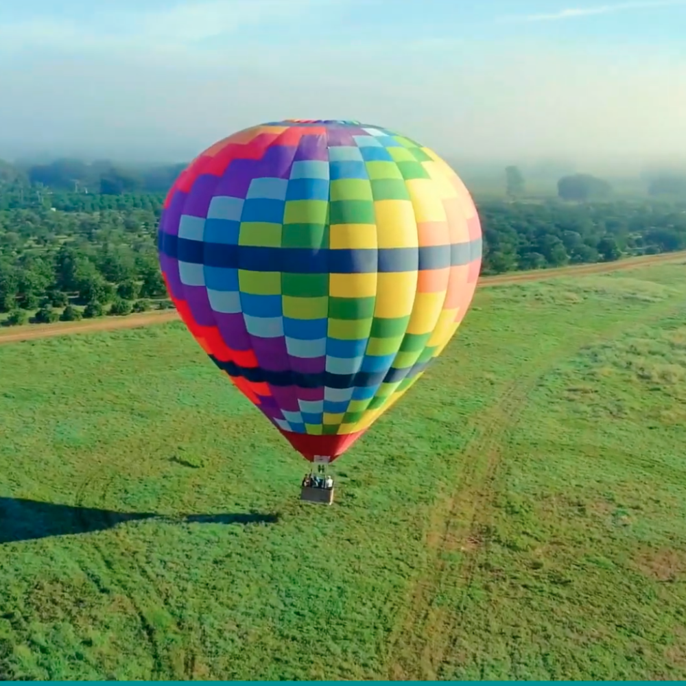 A colorful hot air balloon floats low over a wide green field on a clear morning, with light fog in the distance and trees lining the horizon.