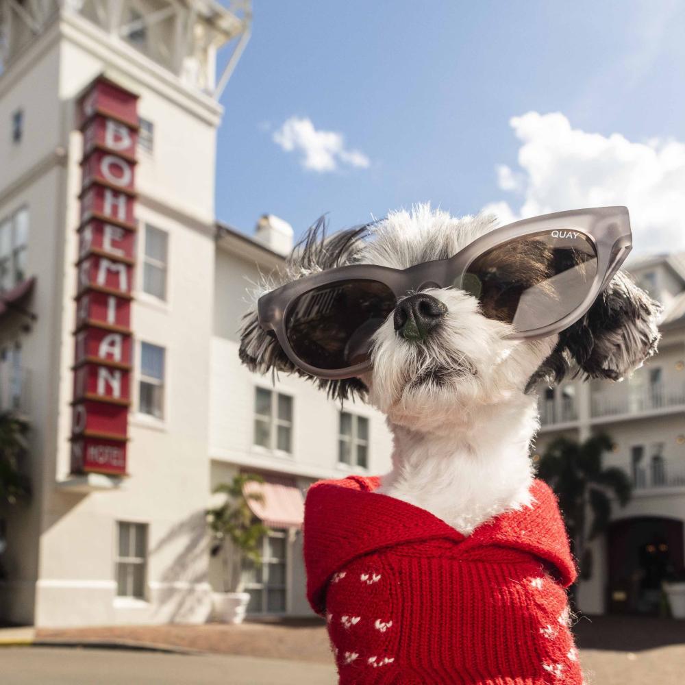 Tinkerbelle arrives in Kissimmee and sits outside the Celebration Hotel 