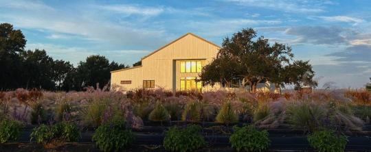 Lavender on the Lake