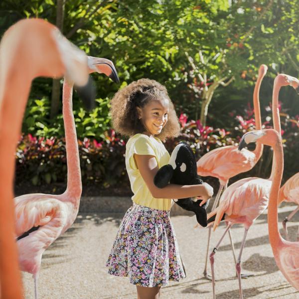 A young girl smiles while holding a stuffed orca toy and standing among a group of bright pink flamingos at Discovery Cove near Kissimmee, Florida.