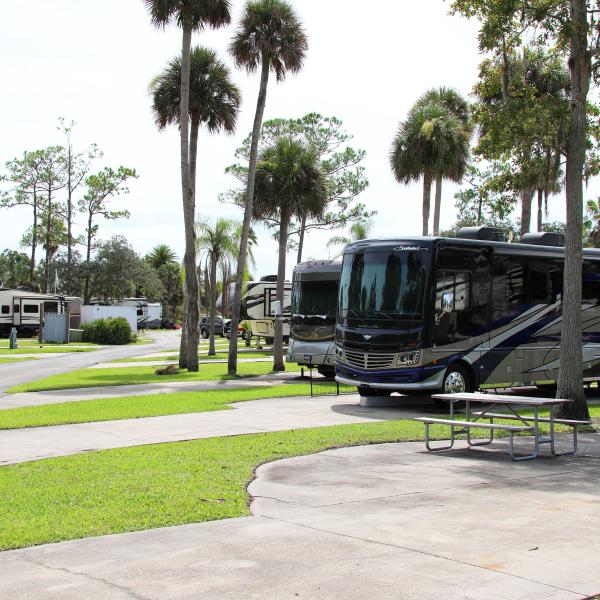 RV campers parked beneath tall palm trees at a scenic campground in Kissimmee, Florida, with picnic tables and lush green lawns.