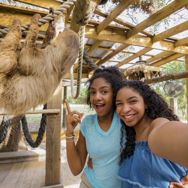Two girls taking a selfie with a sloth hanging in the background