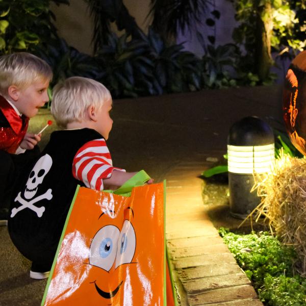 Two young children in Halloween costumes admire intricately carved jack-o'-lanterns glowing at night during a family-friendly trick-or-treat event at Gaylord Palms Resort.