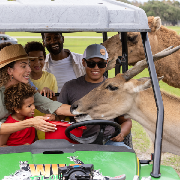 Wild Florida Drive Through Safari 