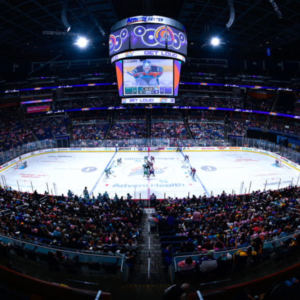 Orlando Solar Bears