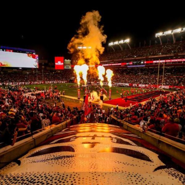 Tampa Bay Buccaneers