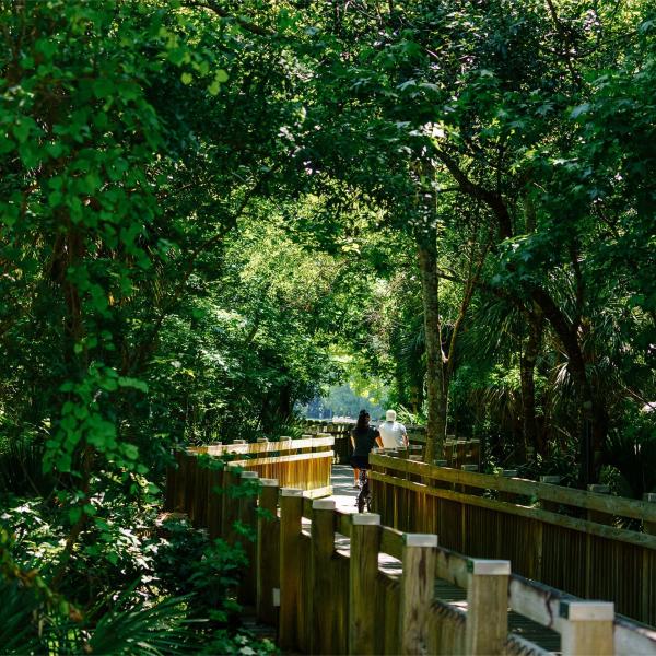 Two people walk along a wooden boardwalk surrounded by lush green trees and dense foliage in a peaceful nature setting.