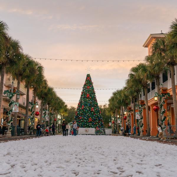 Snowfall at Celebration