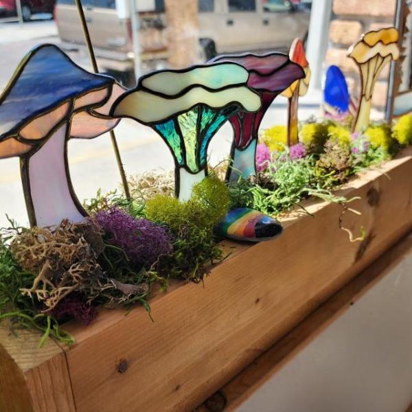 Women-owned business in downtown St. Cloud