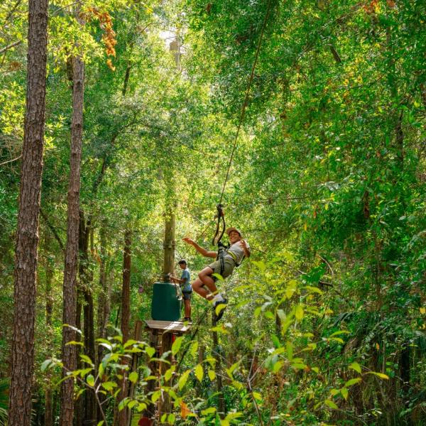 Orlando Tree Trek