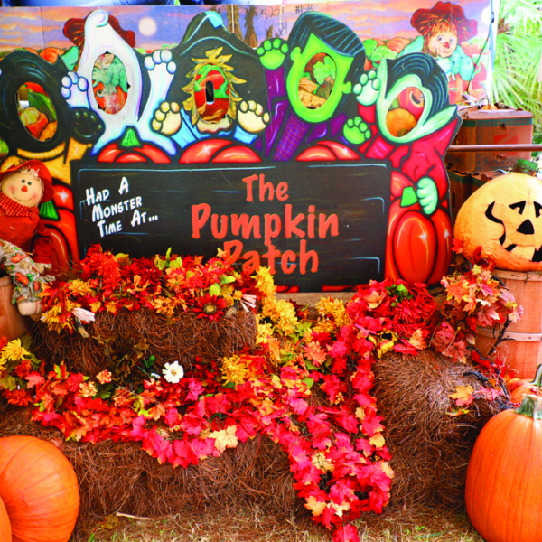 Celebration Pumpkin Patch 
