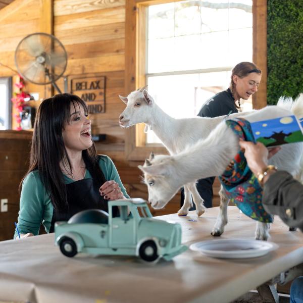 Kimberly J. Brown smiles in surprise as two baby goats hop onto the table while she paints during a painting with goats experience at Alaska Farms.