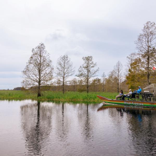 Airboat gliding through cypress trees and wetlands at Wild Florida in Kissimmee, Florida.