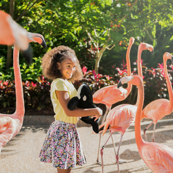 A young girl smiles while holding a stuffed orca toy and standing among a group of bright pink flamingos at Discovery Cover near Kissimmee, Florida.