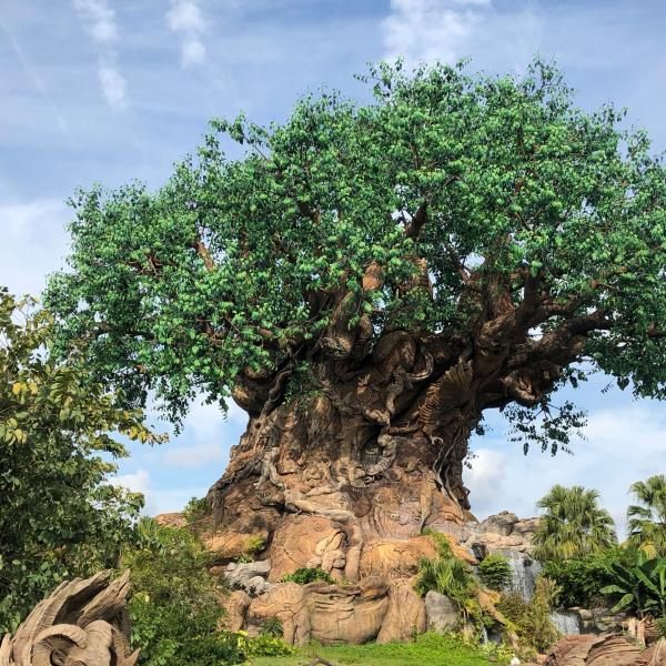 The Tree of Life at Disney’s Animal Kingdom, a massive sculpted tree with detailed animal carvings in its trunk surrounded by lush greenery.