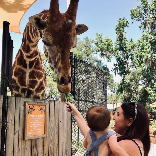 A mother holds her baby as they both feed a giraffe 