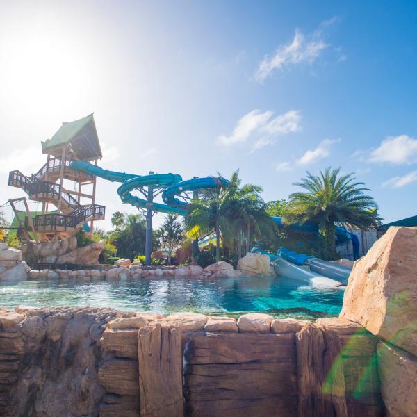 Bright day view of the Dolphin Plunge water slide at Aquatica Orlando, surrounded by palm trees and a clear blue pool.