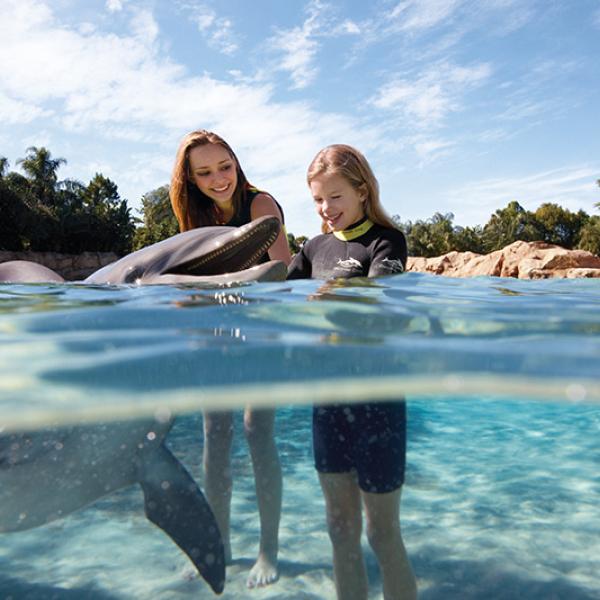A child swims with a dolphin at Discovery Cove