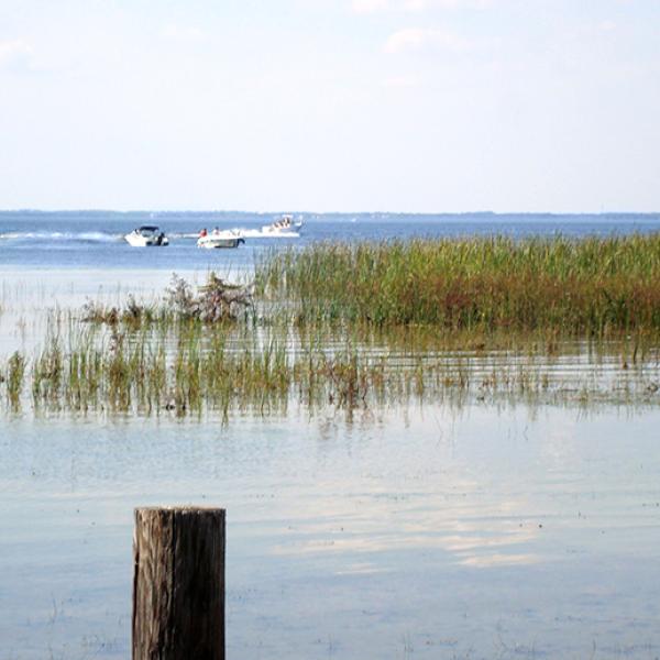 View of boats gliding across East Lake Tohopekaliga, with tall shoreline grasses in the foreground and calm, shallow water near the dock.