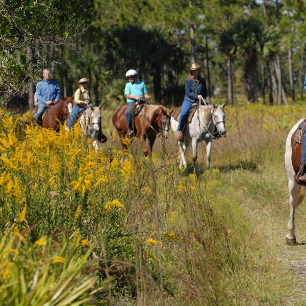 Group of people horseback riding along a scenic trail lined with yellow wildflowers and pine trees at a nature preserve in Kissimmee, Florida.