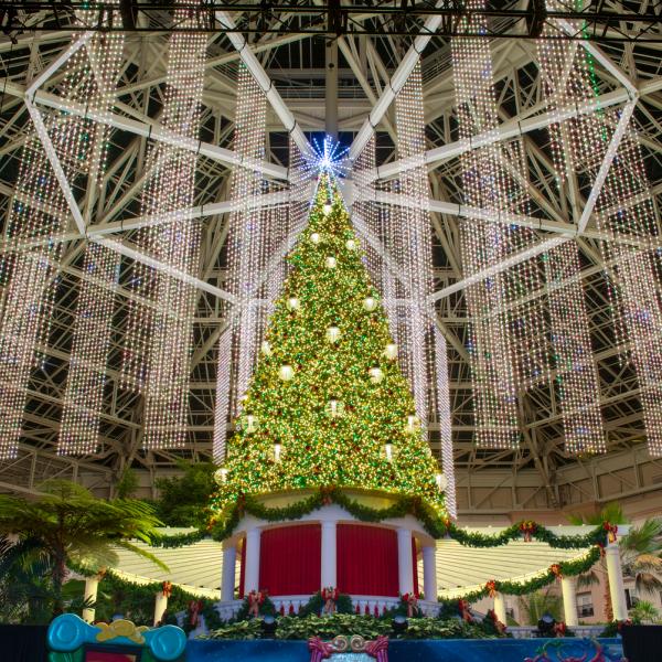 Christmas tree in the Gaylord Palms Resort 
