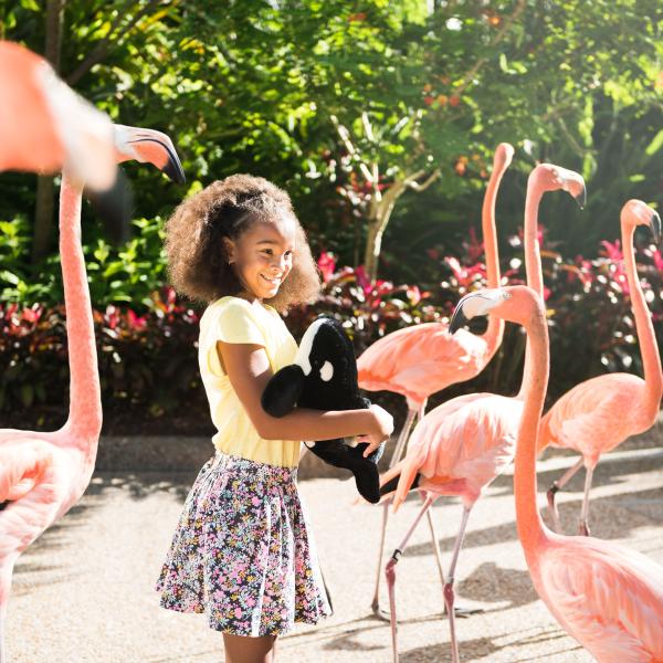 A young girl smiles while holding a stuffed orca toy and standing among a group of bright pink flamingos at Discovery Cove near Kissimmee, Florida.