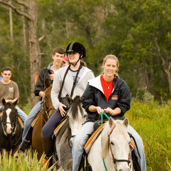 A group of people on horseback rides along a scenic trail surrounded by green foliage and tall trees.