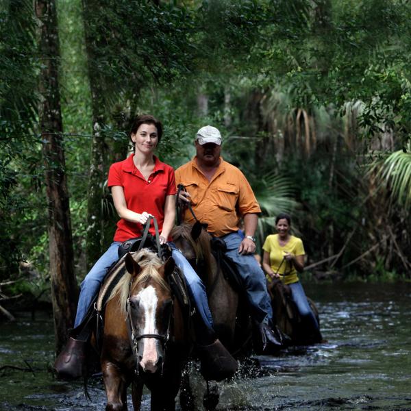 Group of people riding horses through the water in the woods.