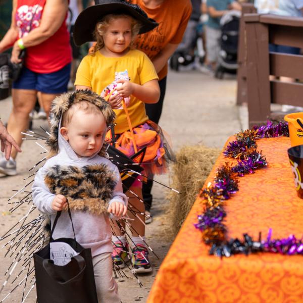Image 1 of Event: Zoo Boo Bash