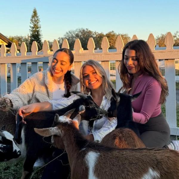 Image 1 of Event: Goat Cuddle Hour – Alaska Farms Orlando!